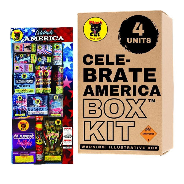 Celebrate America #5 | Aerial & Ground Mix Variety Assortment by Black Cat Fireworks -Shop Online for Large Select Kit™ at Elite Fireworks!