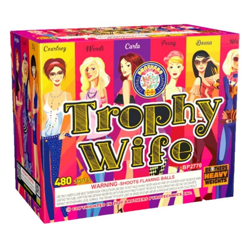 Trophy Wife | 480 Shot Aerial Repeater by Brothers Pyrotechnics -Shop Online for Zipper Cake at Elite Fireworks!